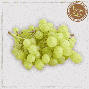 benefícios das uvas