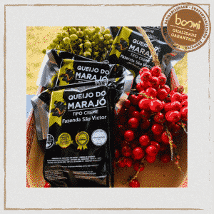 Queijo de Búfala Creme em Barra Marajó 275g