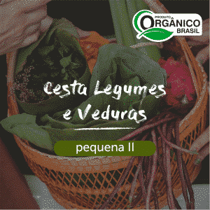 Cesta Legumes e Verduras Pequena II