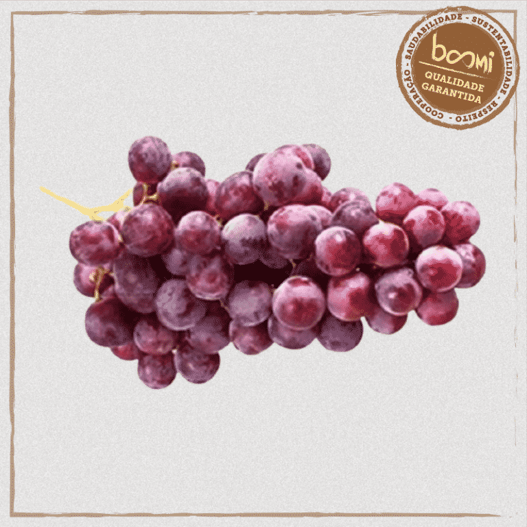 Uva Roxa Sem Sementes Orgânica 300g Horta Frutas Boomi Uva Roxa Sem Sementes Orgânica 300g Horta Frutas Boomi
