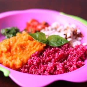 Ingredientes da Receita de Papinha de Quinoa com Frango