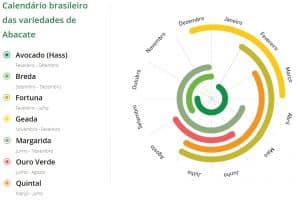 diferença entre o abacate e o avocado e seus benefícios 