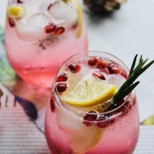 Ingredientes da Receita de Drink de Kombucha com Gin