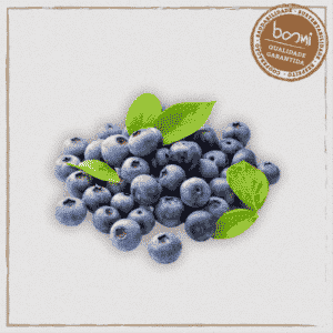 Mirtilo (Blueberry) Orgânico