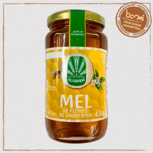 Mel de Laranjeira Alvorada 430g
