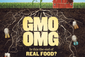 documentários sobre alimentação saudável
