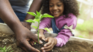 importância da educação ambiental nas escolas