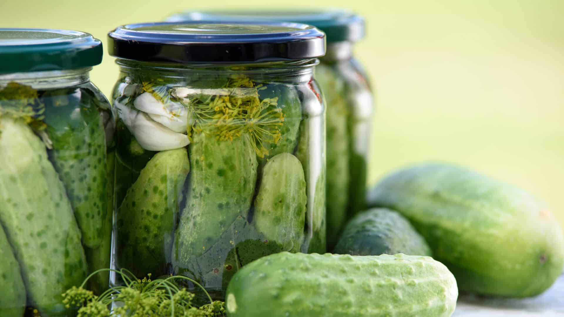 Ingredientes da Receita de Picles de pepino caseiro