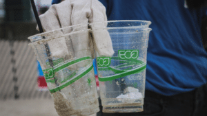 o que é greenwashing e aprender como identificar a falsa sustentabilidade