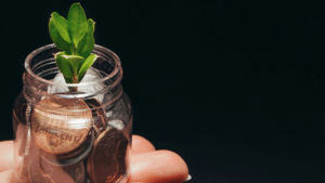 Finanças Verdes e Investimento de Impacto: O Novo Motor do Crescimento Sustentável no Brasil